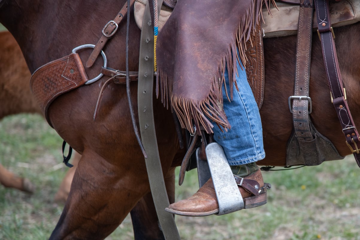 Cowboy western roping and riding gear of western USA